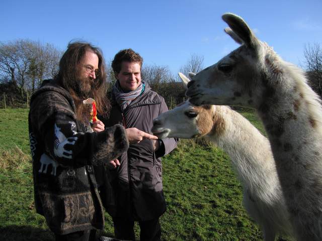 Jeff Minter and Tommy feed the Llamas